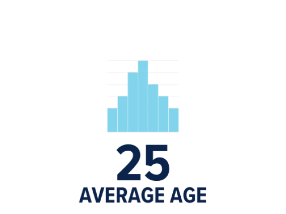 average age icon