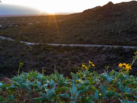 Fewer Bumps in the Road Ahead: Tucson’s Roads Improve