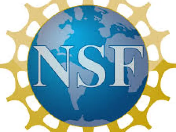 National Science Foundation logo