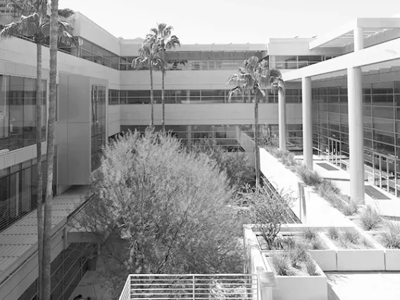 McClelland Hall Courtyard