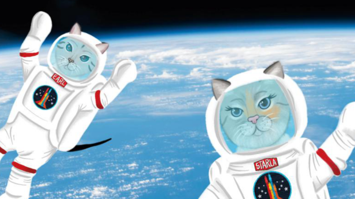 Cats in astronaut suits floating above Earth
