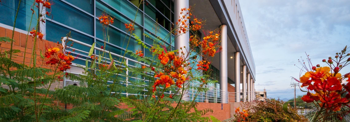 McClelland Hall Flowers