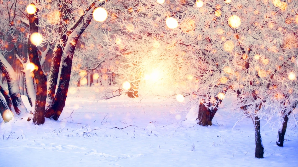 Trees in snow