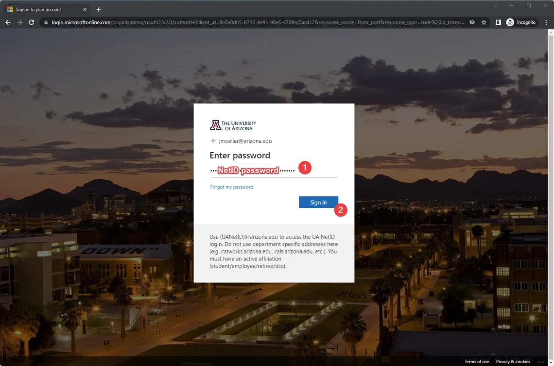 Microsoft's UA-branded sign in page. Type in your NetID password and click the Sign in button to proceed. Microsoft's UA-branded sign in page. Type in your NetID password and click the Sign in button to proceed.