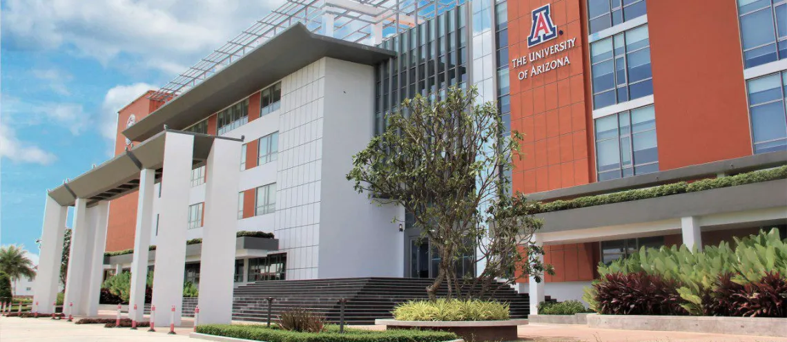 American University Phnom Penh