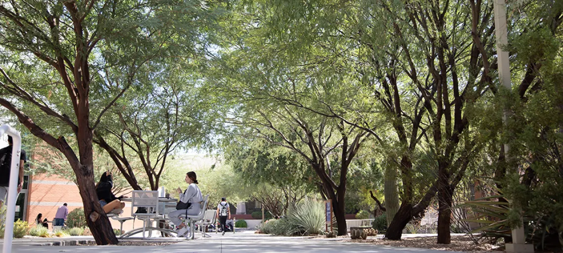 Students Studying in shaded area