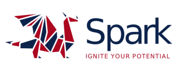 Spark Logo