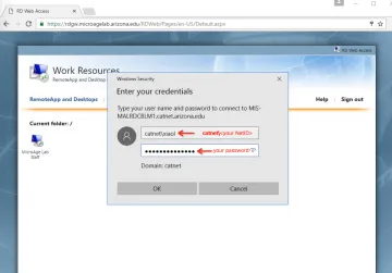 Put in CATNET\<NetID> and your NetID password to log in. Login prompt where you enter your Catnet/NetID credentials.