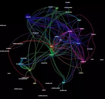 Social interactions chart