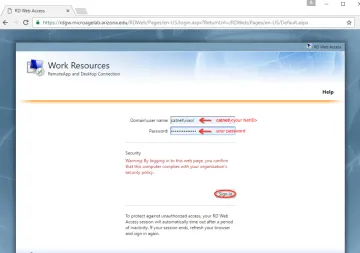 Enter your NetID credentials into the RDS site.