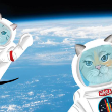 Cats in astronaut suits floating above Earth